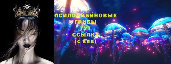 мескалин Новодвинск