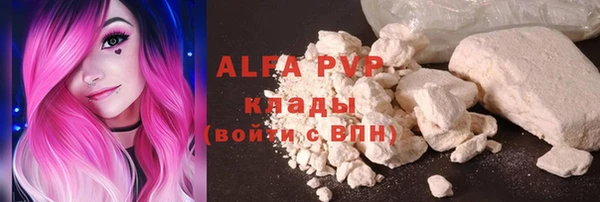 хмурый Новозыбков