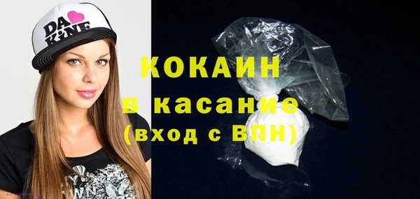 хмурый Новозыбков