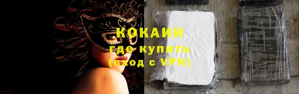 хмурый Новозыбков