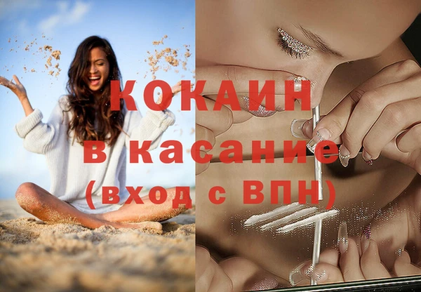 хмурый Новозыбков
