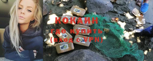 мескалин Новодвинск