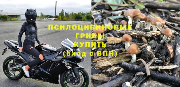 хмурый Новозыбков