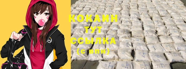 мескалин Новодвинск
